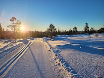 Gå ikke glipp av Høgseterrennet med eventyrlige naturomgivelser og trikkeskinner